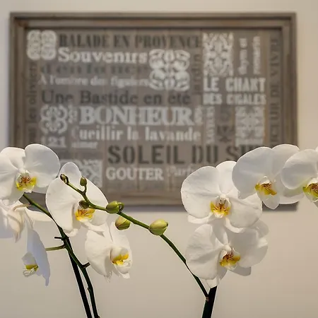 Romefinestay Mirabello 아파트